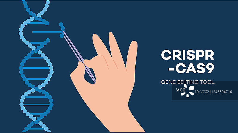 CRISPR-Cas9技术文本与镊子图片素材