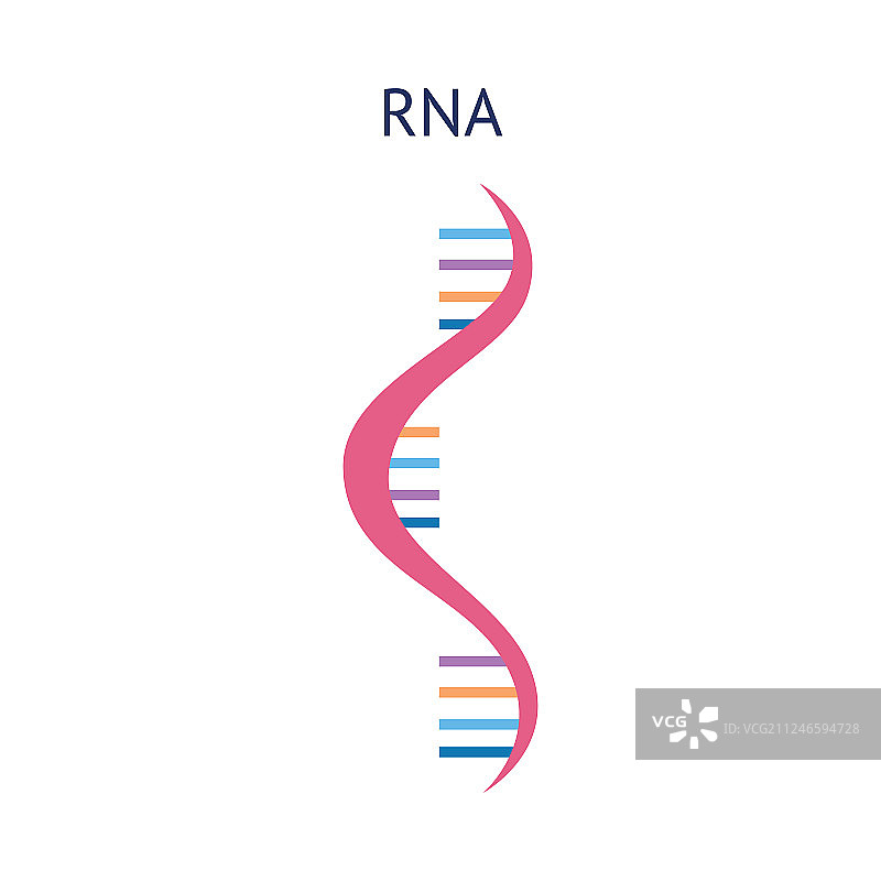 RNA分子科学结构图标图片素材
