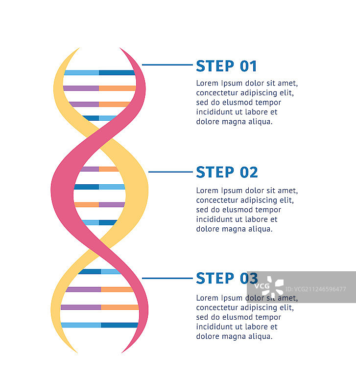 基因结构DNA分子图片素材