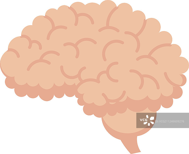 人类大脑的图标图片素材