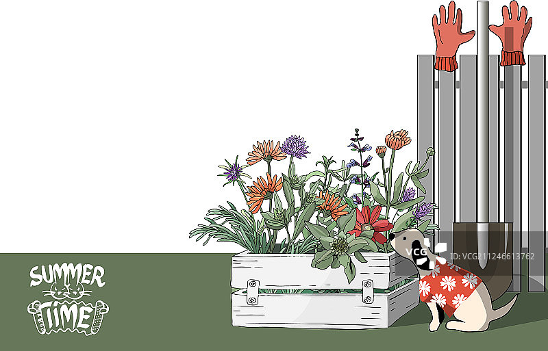 农场里穿红色T恤的小狗图片素材