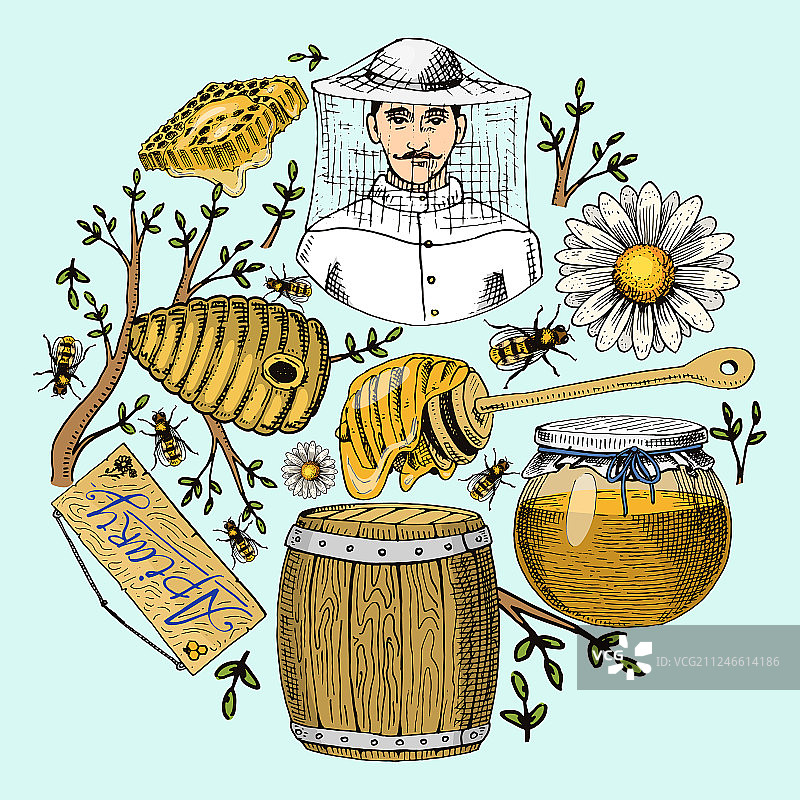 蜂蜜蜂蜡蜂箱宣传海报图片素材