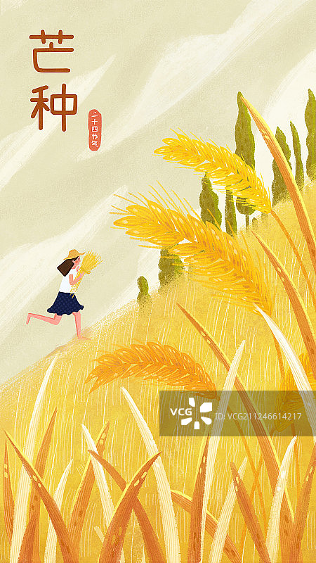 节气芒种图片素材