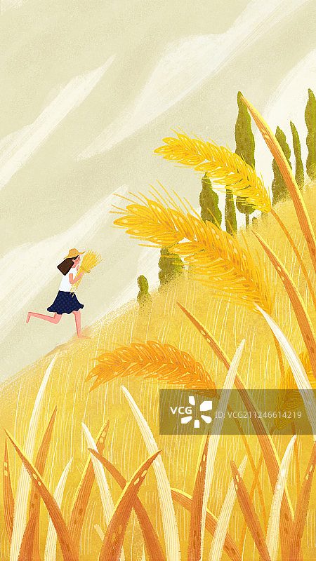 节气芒种图片素材