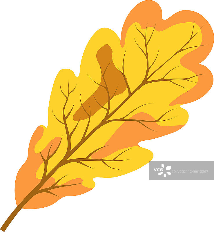 秋季橡树叶图片素材