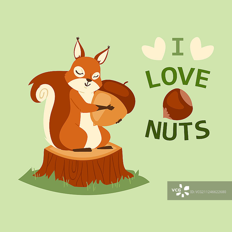 松鼠抱着橡子站在木桩上图片素材