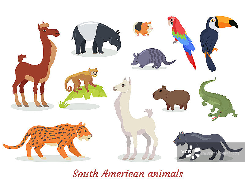 南美洲动物卡通合集图片素材