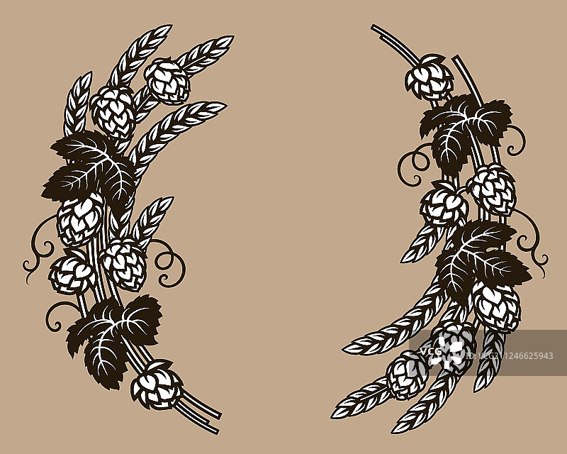 啤酒花与小麦大麦叶子图片素材