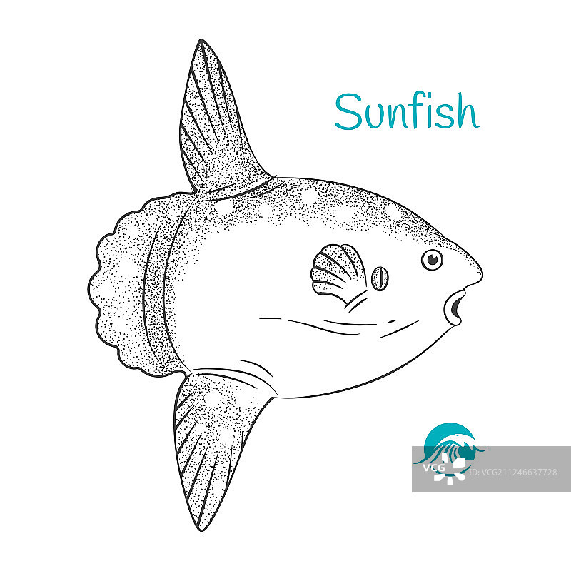 手绘翻车鱼图片素材