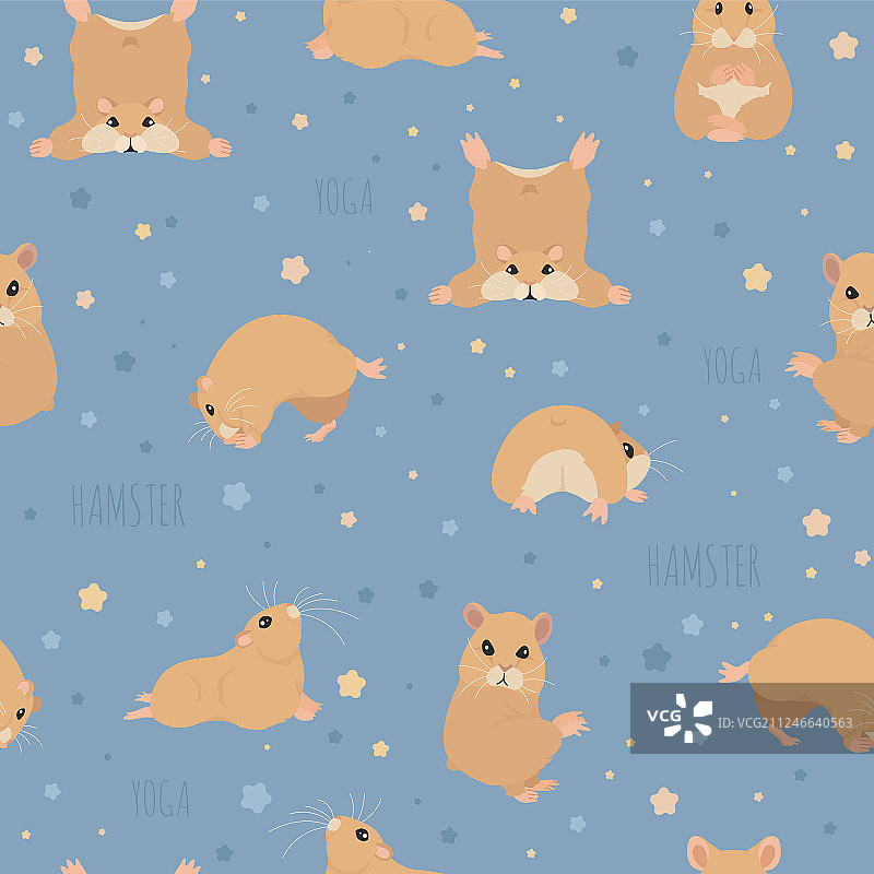 仓鼠瑜伽姿势和练习可爱卡通图片素材