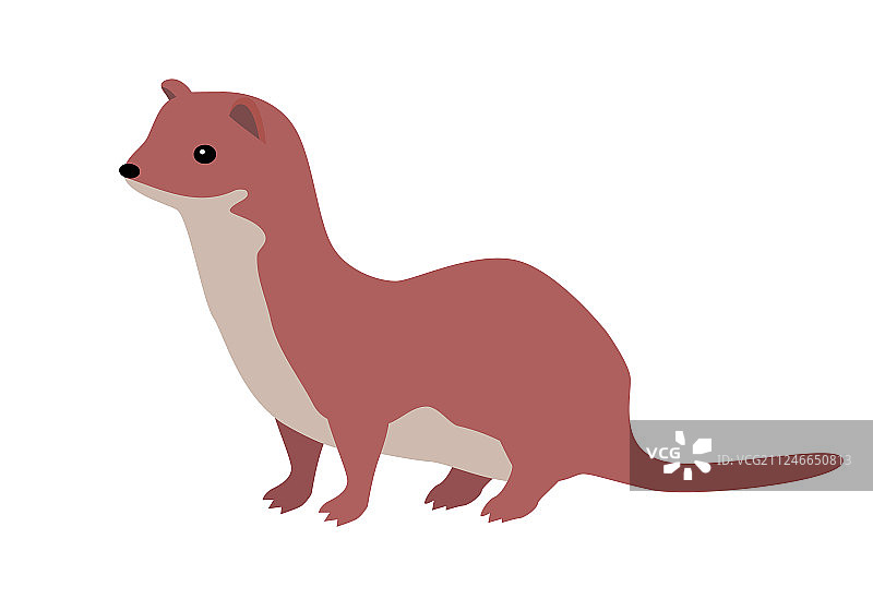 白鼬扁平设计图片素材