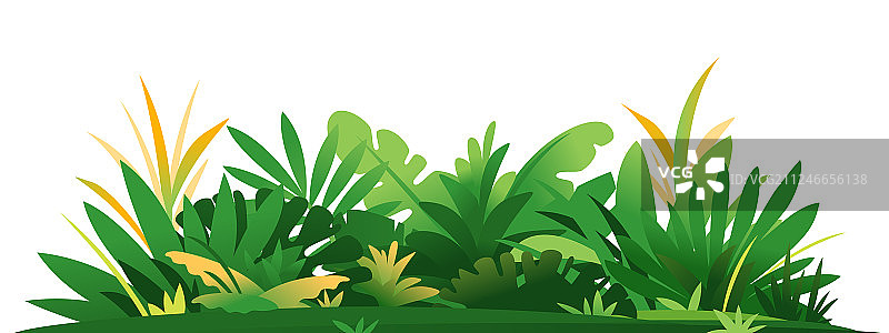 地面上的装饰性丛林植物组合图片素材