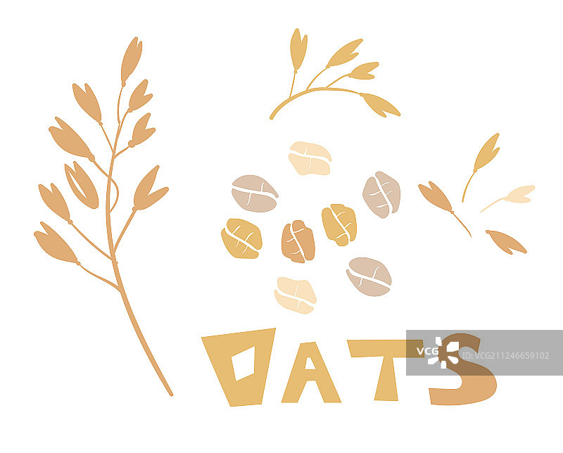 谷类植物农业有机作物图片素材