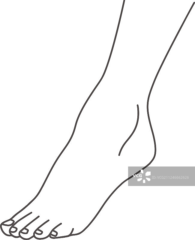 踮起脚尖的女性腿部线条画图片素材