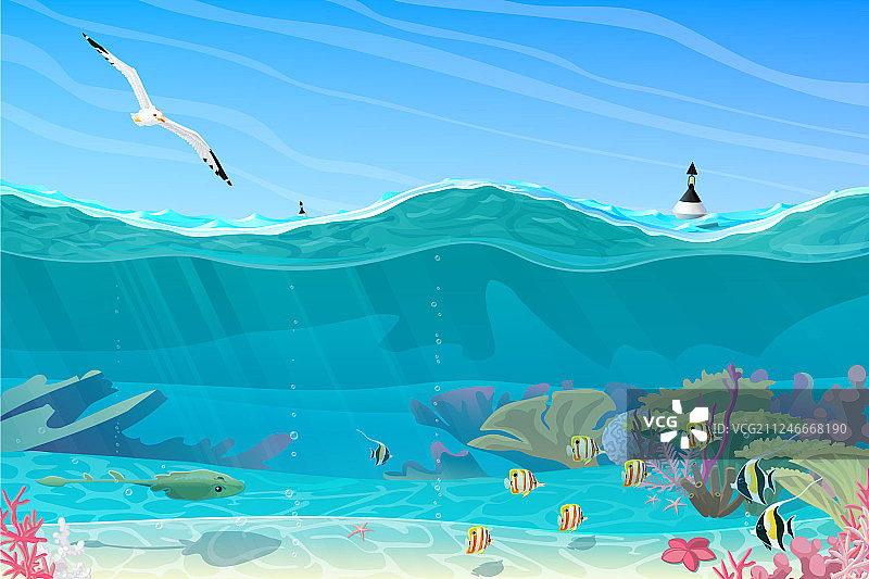 夏日海洋水下世界图片素材