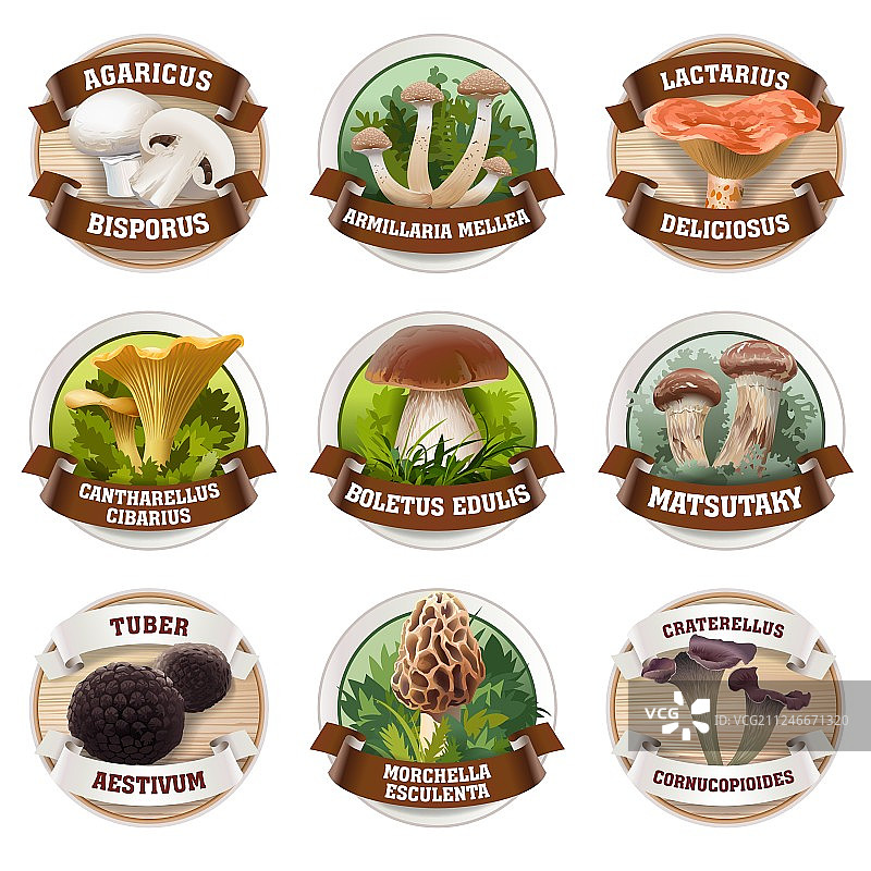蘑菇标志贴纸合集图片素材