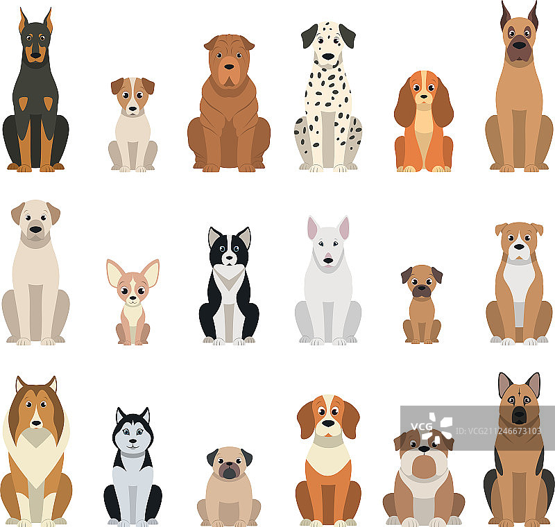 一组狗图片素材