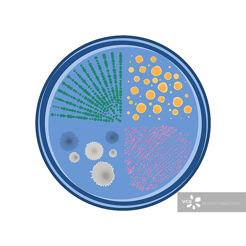 培养皿中生长的细菌菌落图片素材