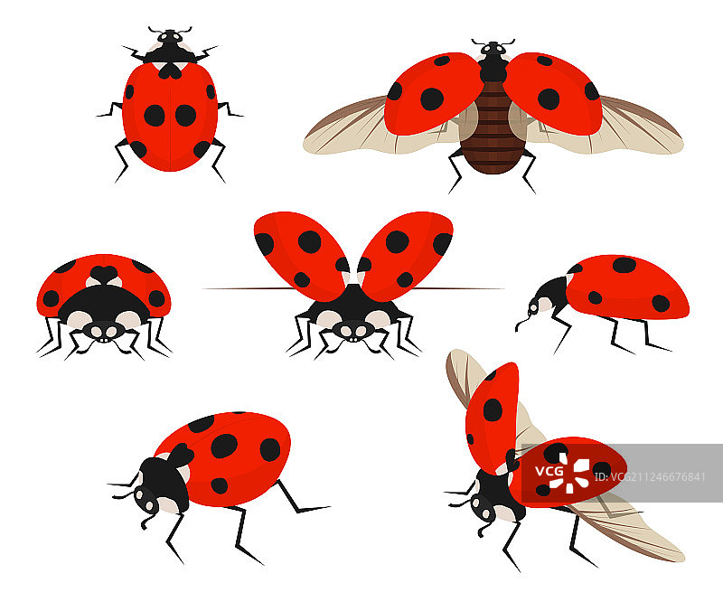 卡通彩色瓢虫图标合集图片素材