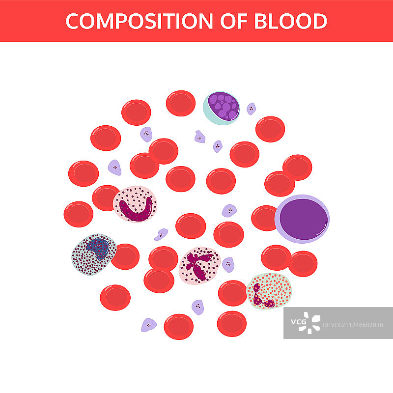显微镜下的血滴图片素材