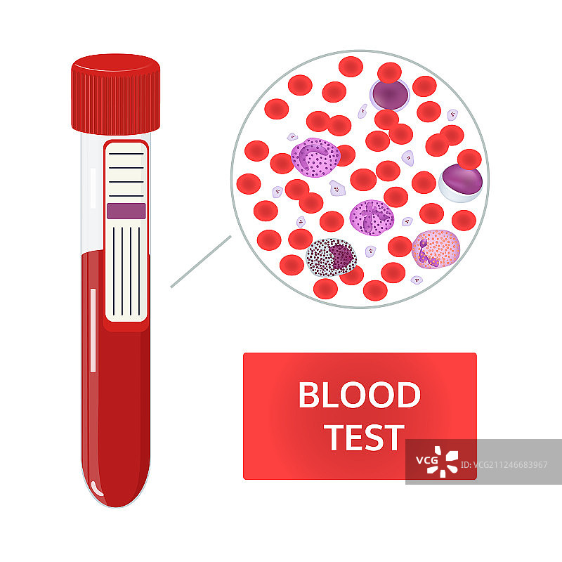 血液图像构图图片素材
