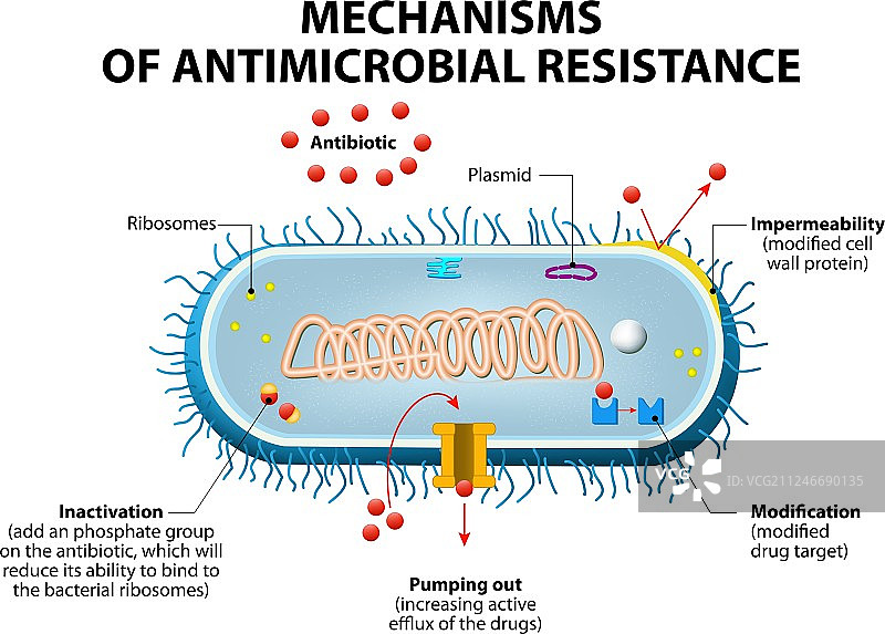 抗菌素耐药性图片素材