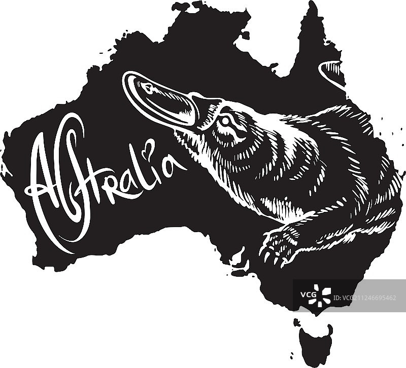 澳大利亚地图上的鸭嘴兽图片素材