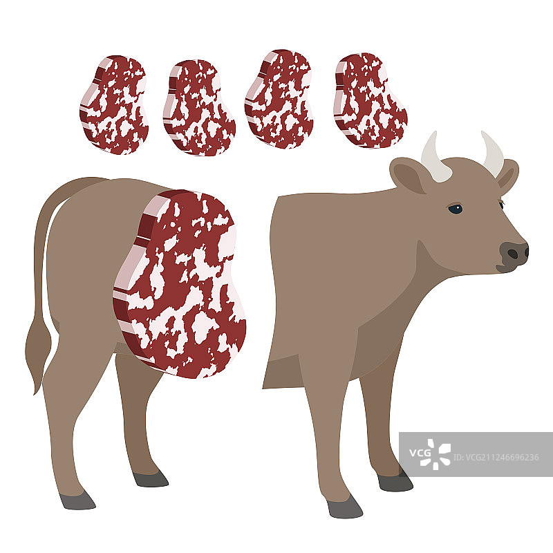 一只黑毛和牛跟肉片图片素材