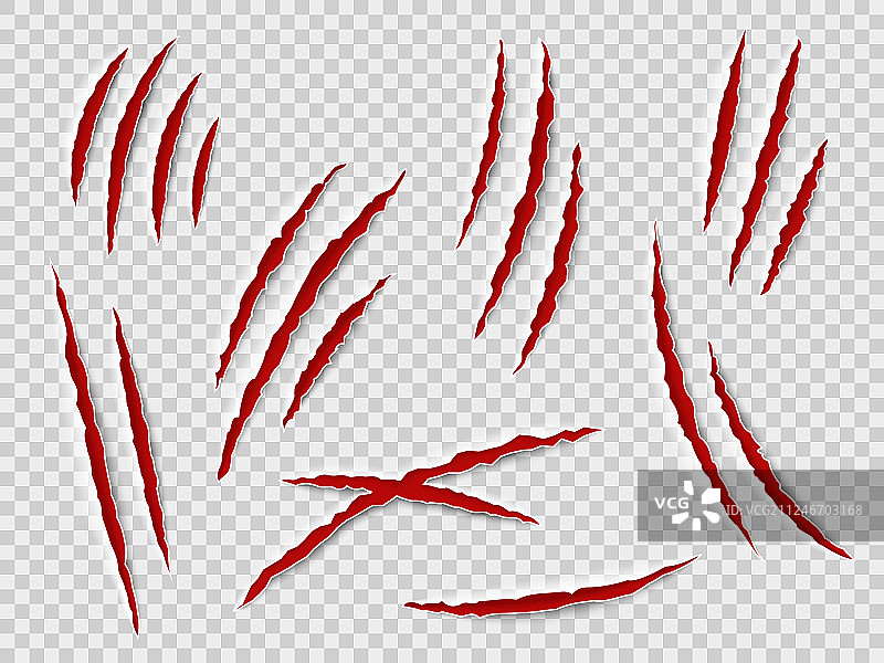 爪子划痕动物爪印猫或老虎图片素材