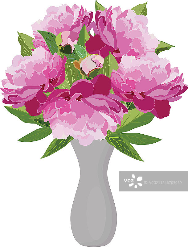 花瓶中的粉色牡丹花束图片素材