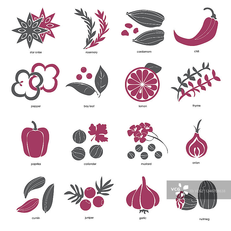 香料调味品和草药网站图标集图片素材