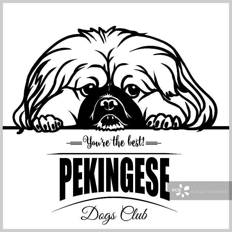 京巴狗T恤标志图片素材