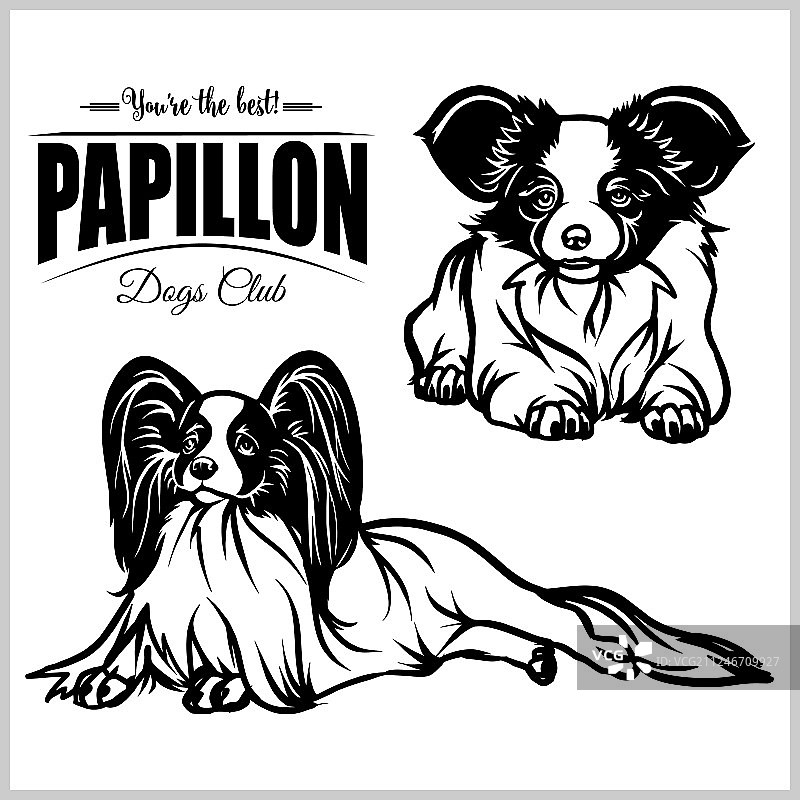 蝴蝶图案系列图片素材