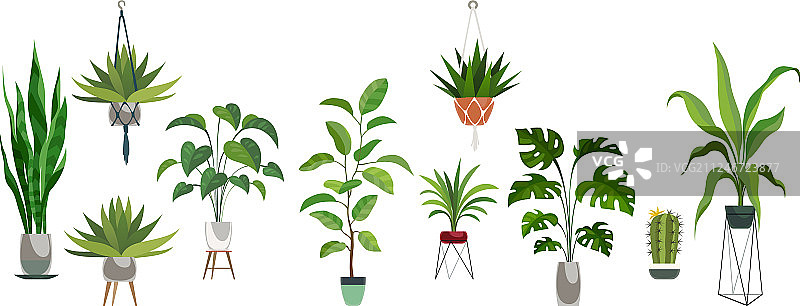 盆栽植物塑料装饰容器套装图片素材