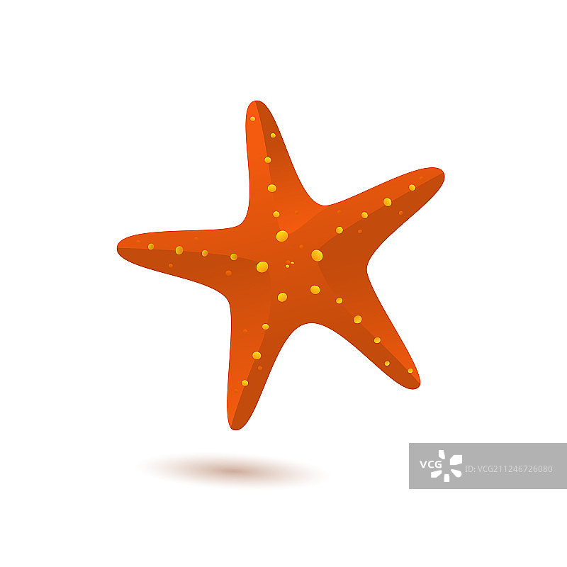 海星图标图片素材