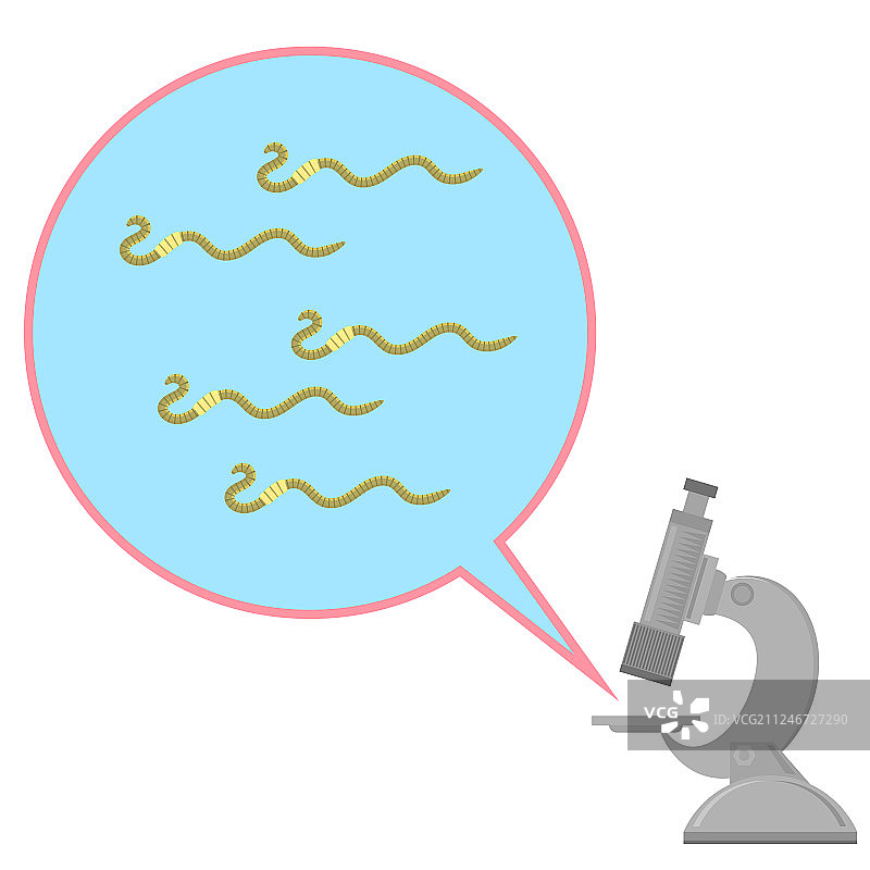 蠕虫和显微镜下的有害寄生虫图片素材