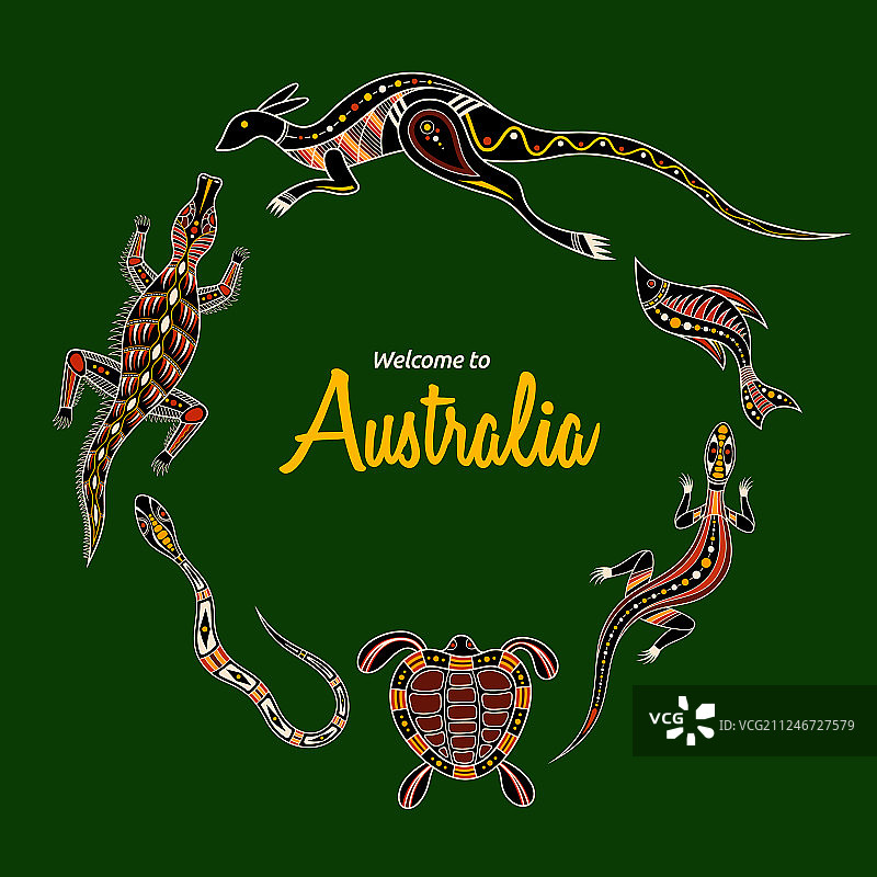 澳大利亚动物：袋鼠、蜥蜴、鳄鱼图片素材