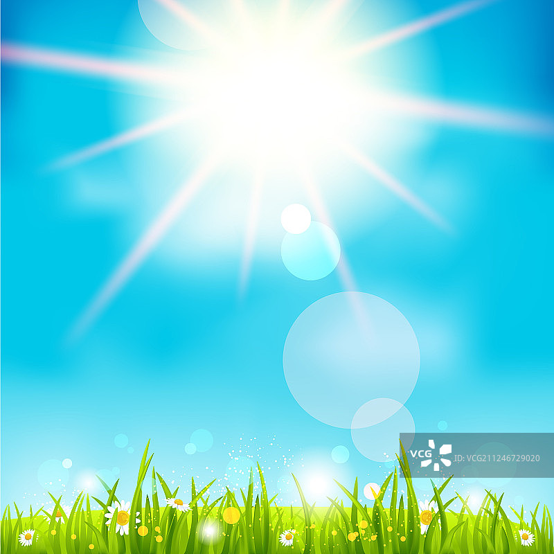 明媚的夏日中午图片素材