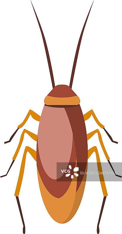 蟑螂卡通扁平风格图片素材