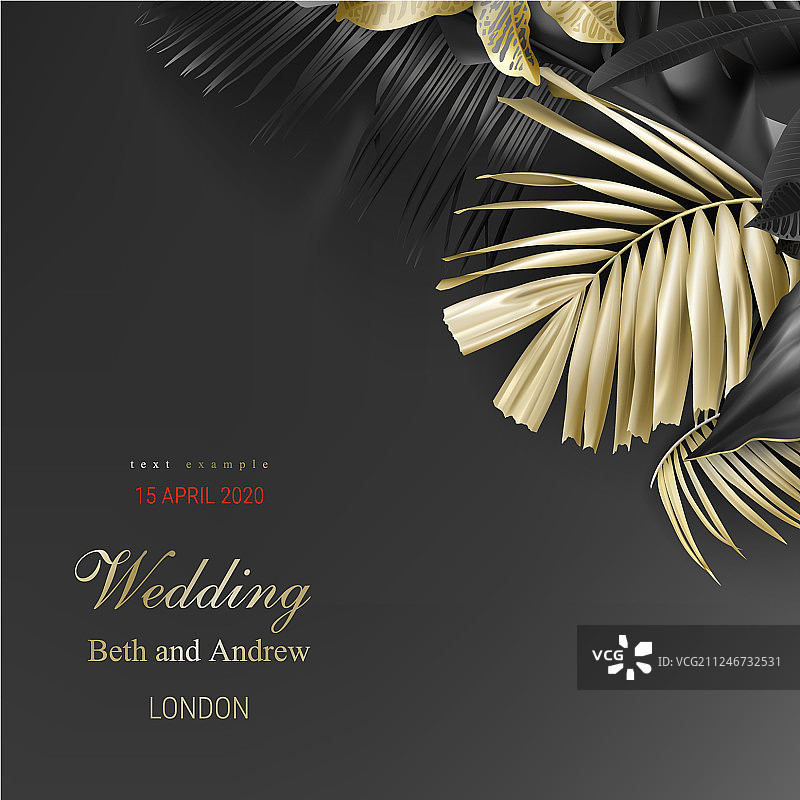 热带黑色和金色的叶子在黑暗的背景图片素材