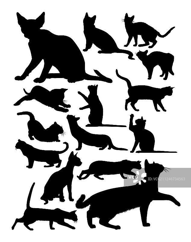 猫的轮廓图片素材