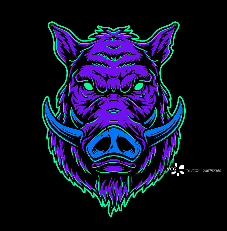 彩色复古严肃野猪头图片素材