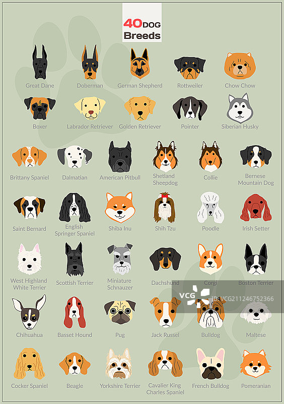 狗头背景图案图片素材