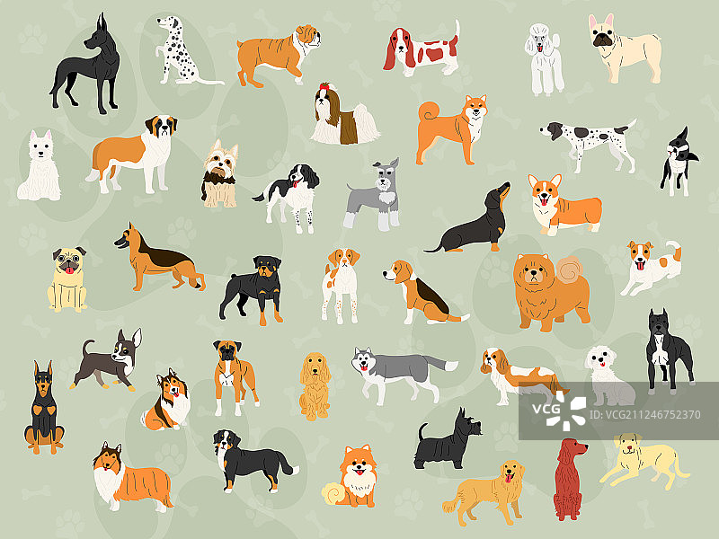 活泼可爱的狗狗壁纸设计图片素材