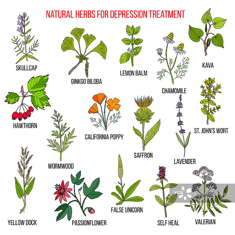 缓解抑郁症的最佳草药疗法图片素材