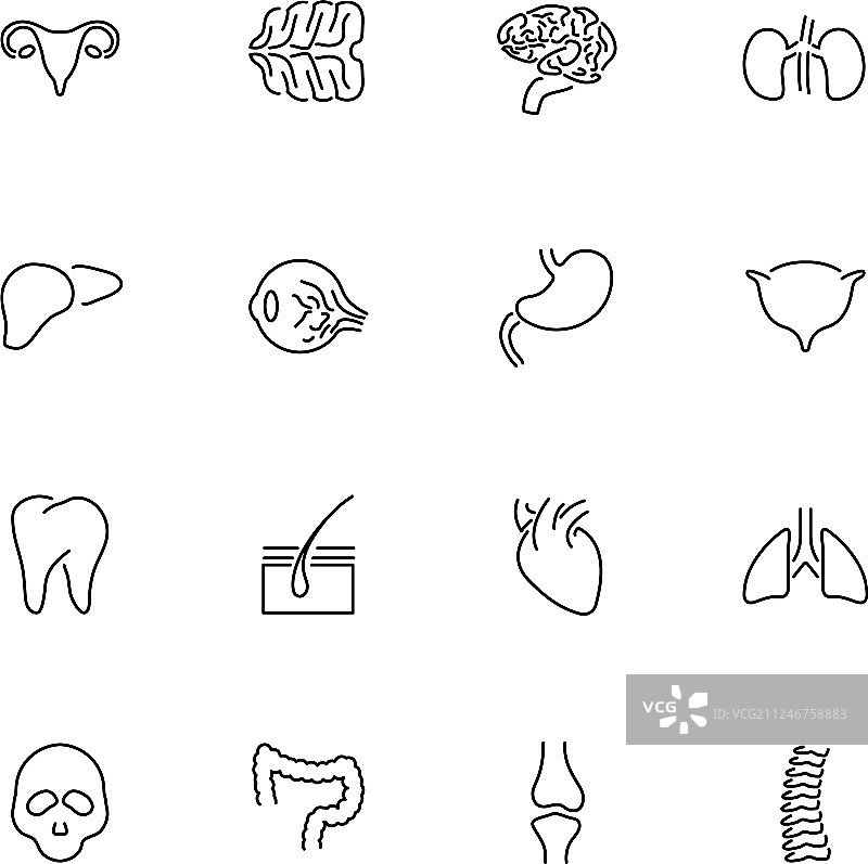 器官扁平线条图标图片素材