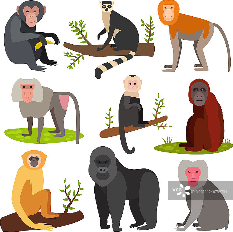 各式面包猴子卡通动物图片素材