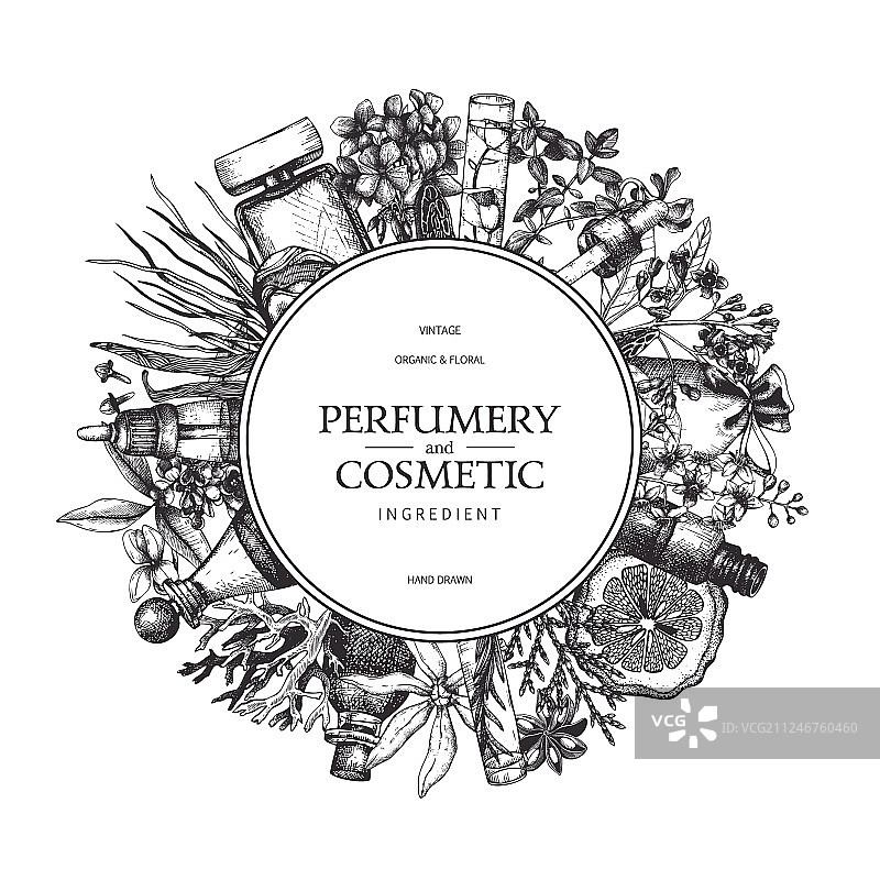 复古风芳香植物水果设计图片素材