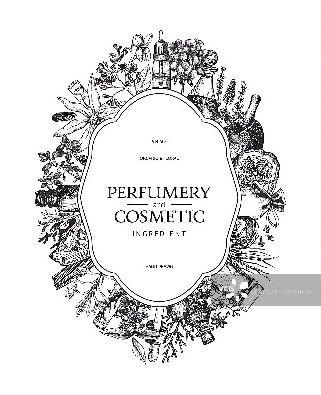 复古风芳香植物水果设计图片素材