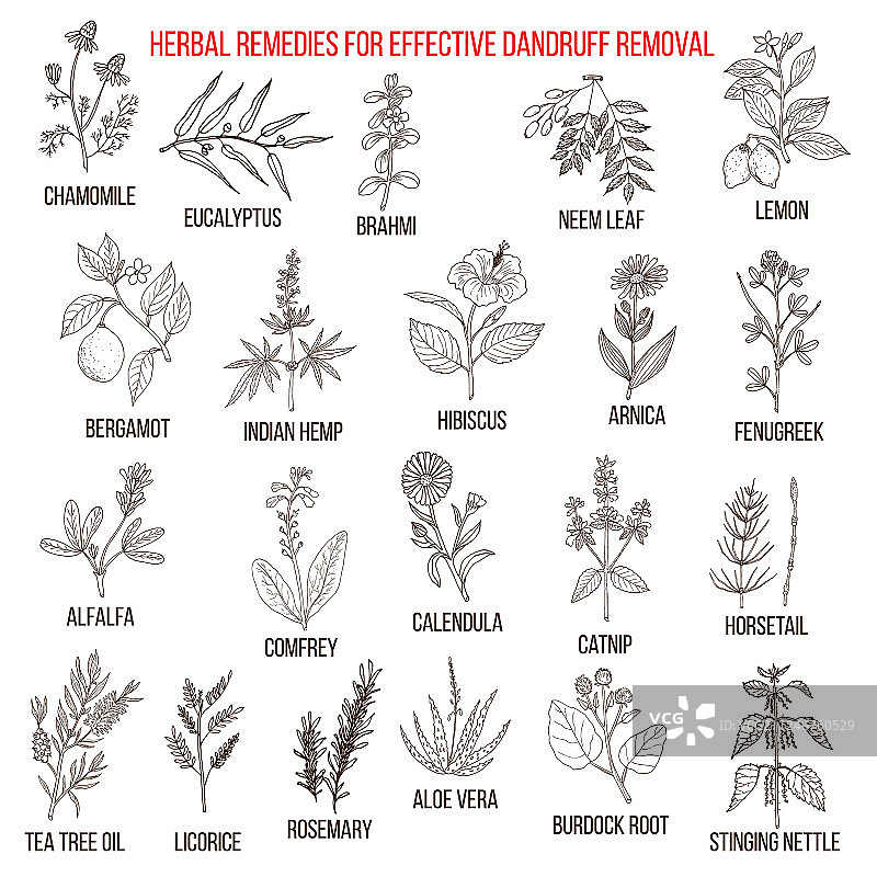 有效去屑的最佳草药疗法图片素材